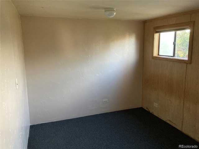 30395 County Road 383, Buena Vista, CO 81211 - photo 27