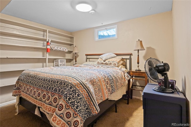 8481 E Briarwood Blvd, Centennial, CO 80112 - view of carpeted bedroom