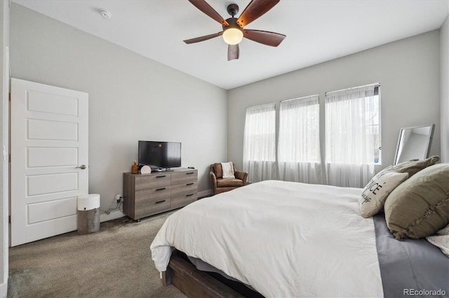 4422 Mt Shavano St, Brighton, CO 80601 - photo 24