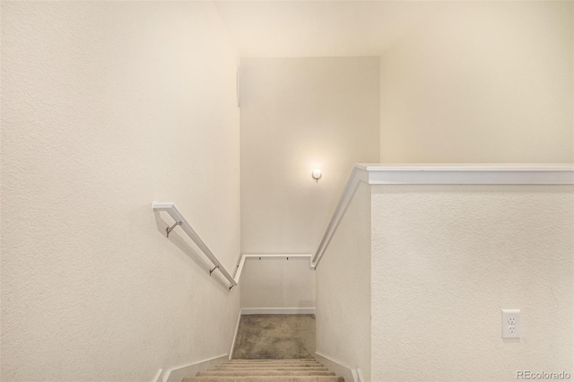12892 Jasmine St Unit B, Thornton, CO 80602 - photo 28