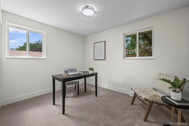 10067 W 68th Pl, Arvada, CO 80004 - carpeted office space with baseboards