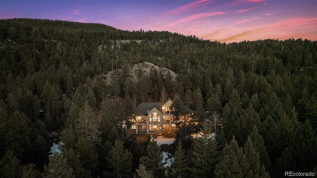 aerial view at dusk with a forest view