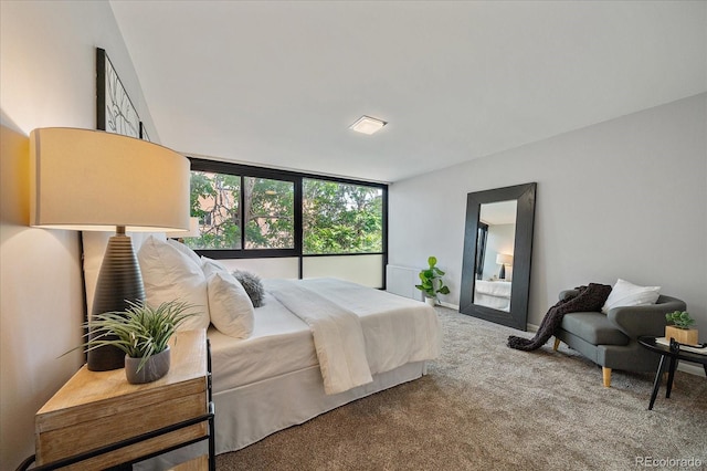 1050 N Corona St Unit 202, Denver, CO 80218 - view of carpeted bedroom