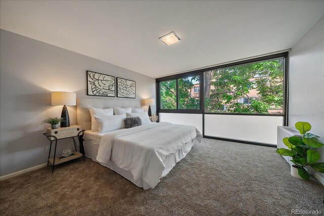 1050 N Corona St Unit 202, Denver, CO 80218 - carpeted bedroom featuring multiple windows and baseboards