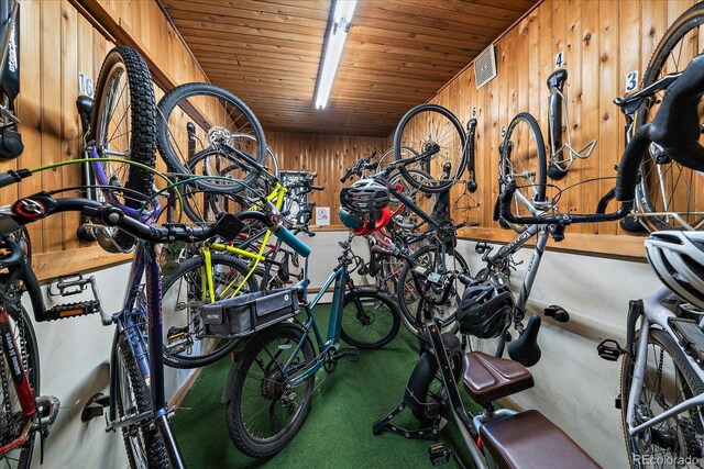 1050 N Corona St Unit 202, Denver, CO 80218 - garage featuring wood walls and wood ceiling