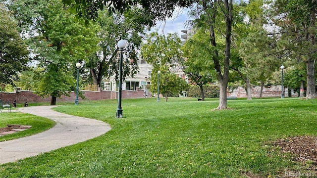 1050 N Corona St Unit 202, Denver, CO 80218 - view of property's community featuring a lawn