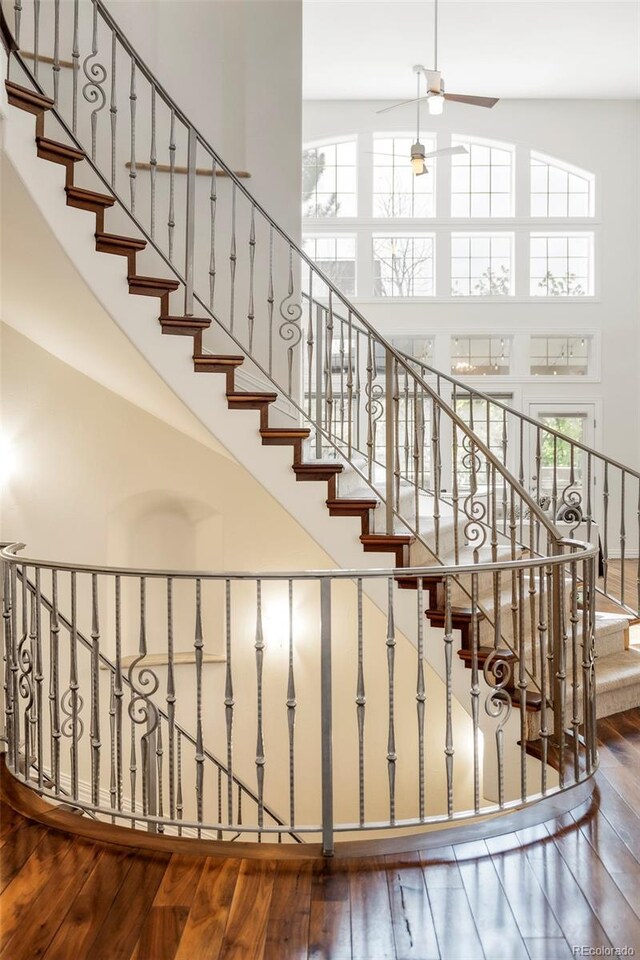 155 S Poplar St, Denver, CO 80230 - stairway with a towering ceiling, plenty of natural light, hardwood / wood-style flooring, and ceiling fan