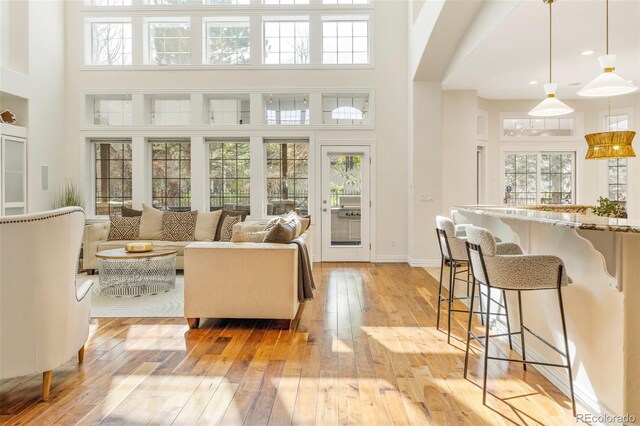 155 S Poplar St, Denver, CO 80230 - living area featuring light wood finished floors and a towering ceiling