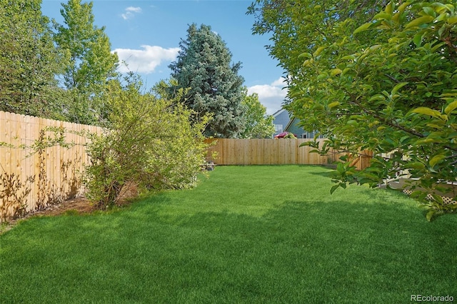 5612 S Jebel Way, Centennial, CO 80015 - view of yard