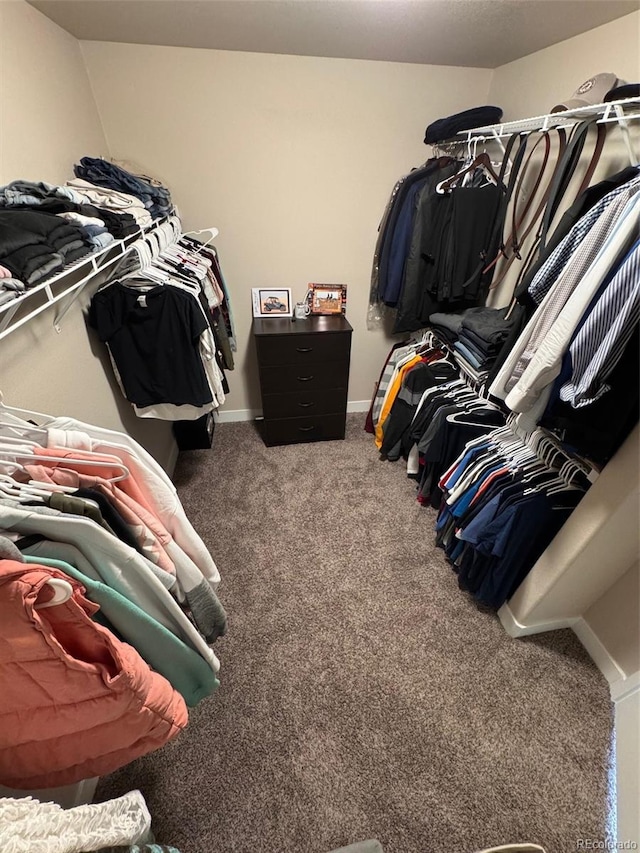 spacious closet featuring carpet floors