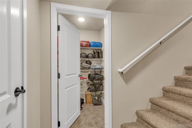 stairway with carpet flooring