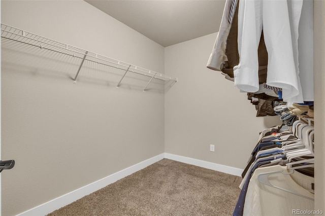 walk in closet with carpet floors
