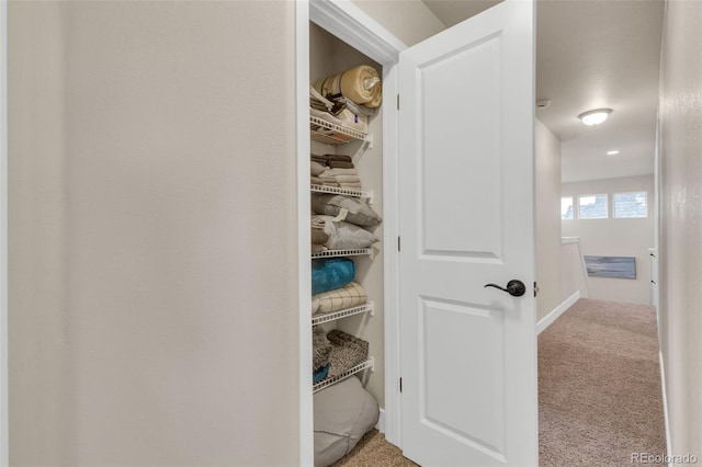 view of closet