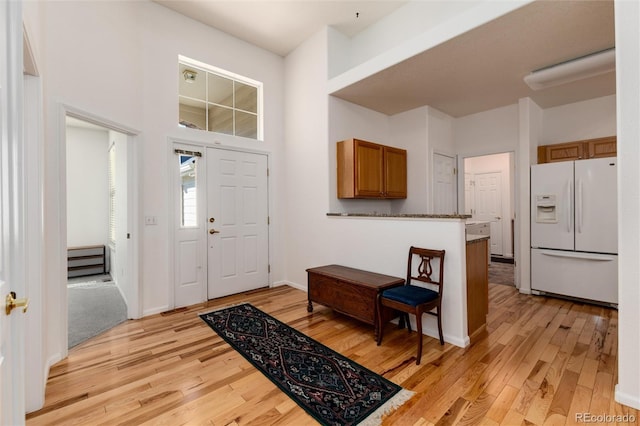 entrance foyer featuring a high ceiling and light hardwood / wood-style flooring