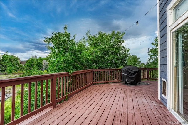 4688 Cedar Glen Pl, Castle Rock, CO 80109 - photo 49