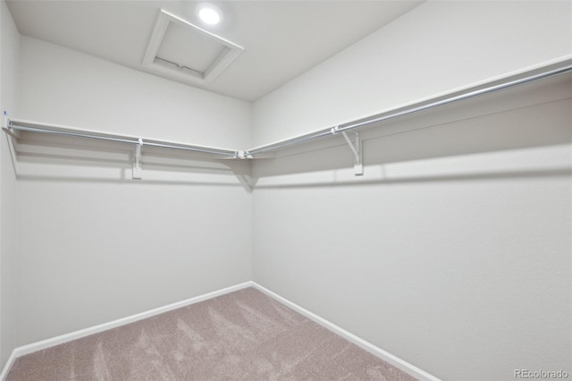 spacious closet with attic access and carpet