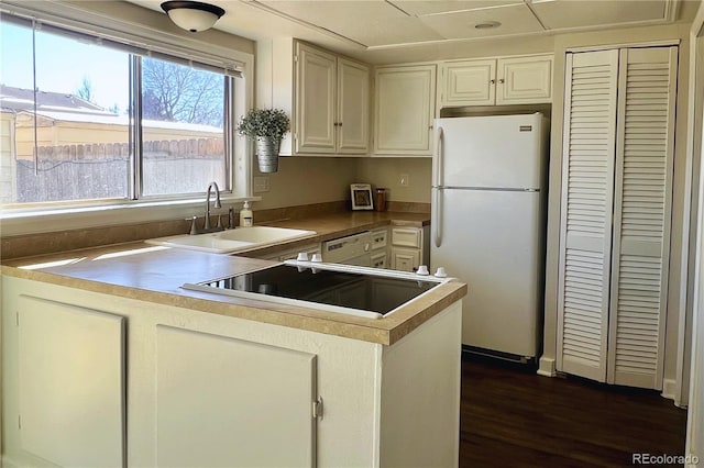 kitchen featuring sink, black electric stovetop, dark hardwood / wood-style flooring, kitchen peninsula, and white fridge