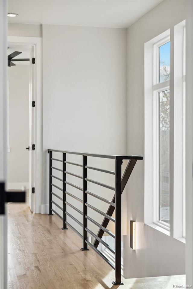 staircase featuring hardwood / wood-style flooring