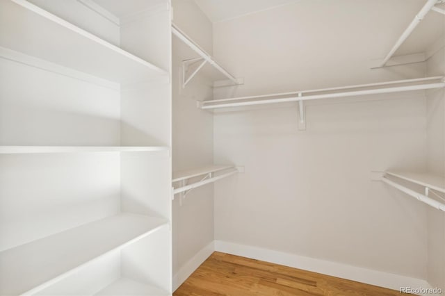 spacious closet featuring wood-type flooring