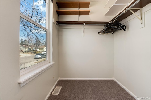 walk in closet featuring carpet floors