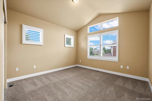 5850 Dripping Rock Ln Unit G102, Fort Collins, CO 80528 - carpeted spare room with lofted ceiling and baseboards