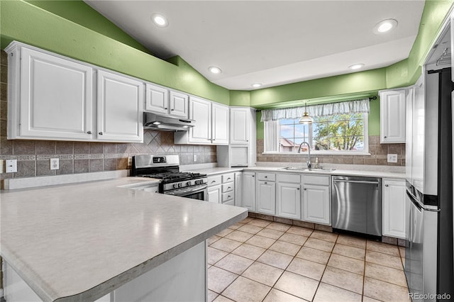 465 W Palmer Lake Dr, Pueblo, CO 81007 - kitchen featuring stainless steel appliances, a sink, under cabinet range hood, a peninsula, and light countertops