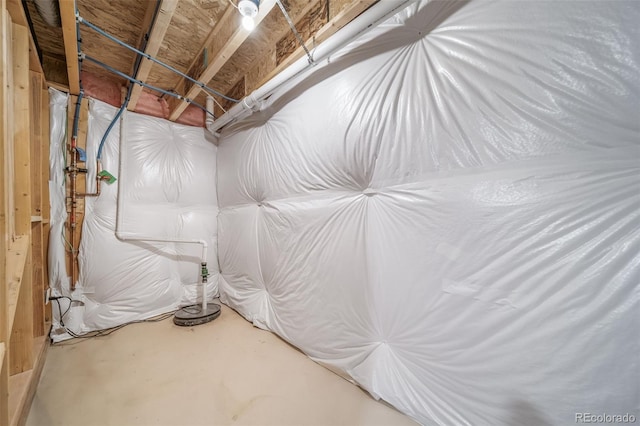 3899 N Shaenee St, Aurora, CO 80019 - view of below grade area
