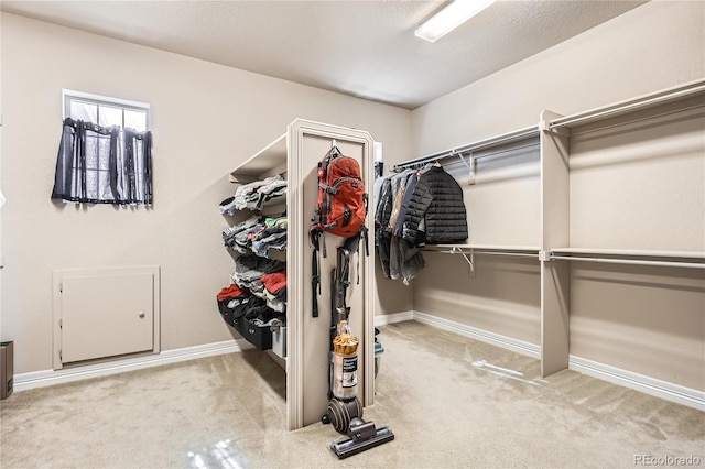 walk in closet with carpet flooring