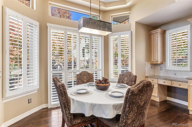 dining room with a healthy amount of sunlight and dark wood-type flooring