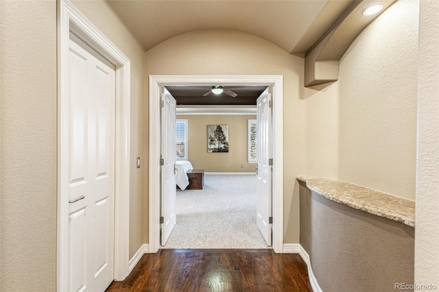 hall featuring dark wood-type flooring