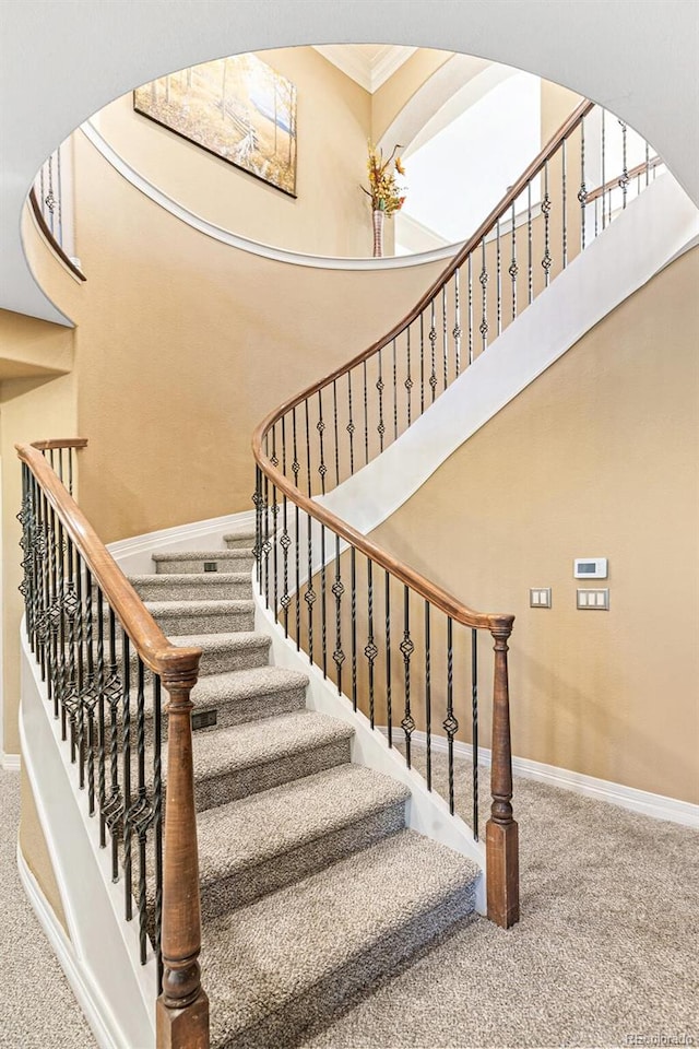 staircase with carpet and ornamental molding