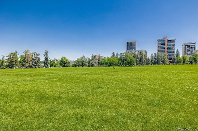 1390 N Emerson St Unit 101, Denver, CO 80218 - view of home's community featuring a yard