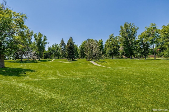 1390 N Emerson St Unit 101, Denver, CO 80218 - view of property's community featuring view of wooded area and a yard
