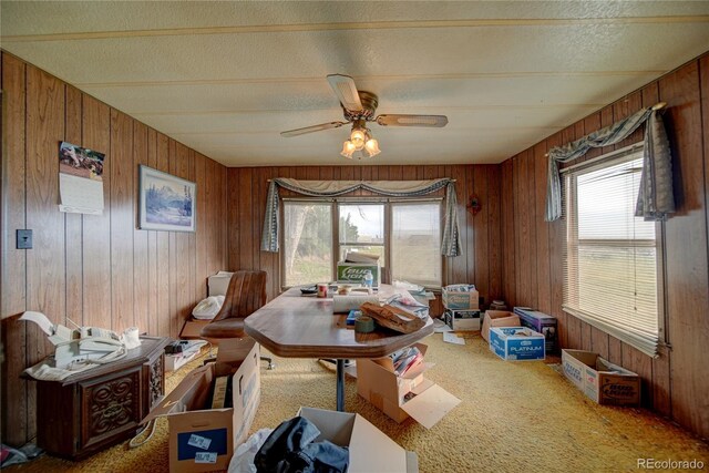 6224 County Road H, Joes, CO 80822 - carpeted dining area with plenty of natural light, wooden walls, ceiling fan, and a textured ceiling