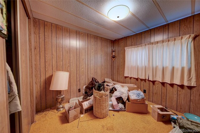 6224 County Road H, Joes, CO 80822 - misc room featuring carpet flooring and wood walls