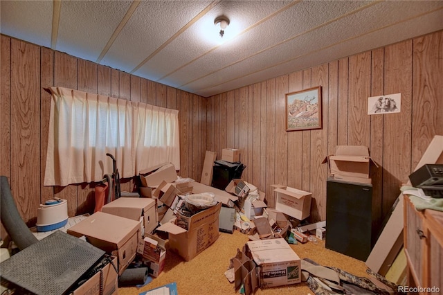 6224 County Road H, Joes, CO 80822 - miscellaneous room featuring wooden walls and carpet