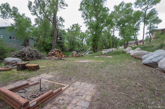 104 River Run Dr, Buena Vista, CO 81211 - view of yard with a vegetable garden