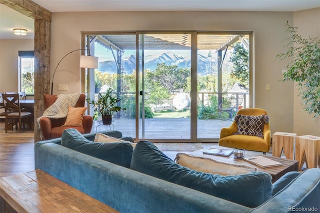 104 River Run Dr, Buena Vista, CO 81211 - living area featuring wood finished floors