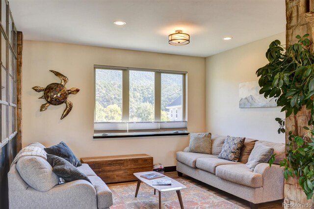 104 River Run Dr, Buena Vista, CO 81211 - living room with recessed lighting