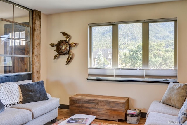 104 River Run Dr, Buena Vista, CO 81211 - living area featuring wood finished floors