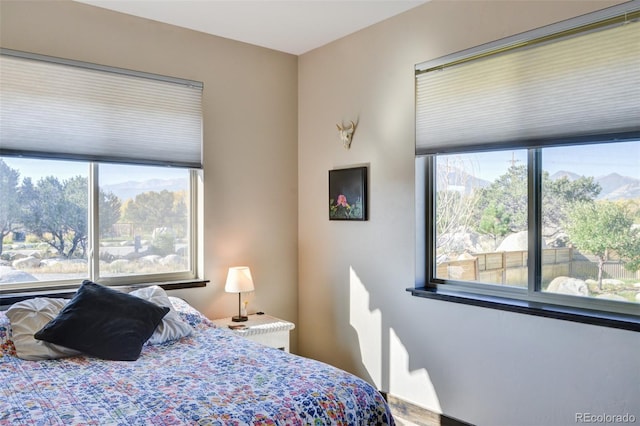 104 River Run Dr, Buena Vista, CO 81211 - bedroom with multiple windows