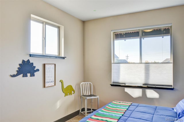 104 River Run Dr, Buena Vista, CO 81211 - bedroom with carpet and baseboards