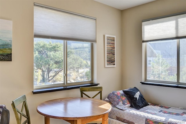 104 River Run Dr, Buena Vista, CO 81211 - living area featuring plenty of natural light