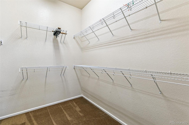 6085 Nile Cir, Golden, CO 80403 - spacious closet featuring dark colored carpet