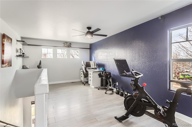 5570 Nepal St, Denver, CO 80249 - photo 16