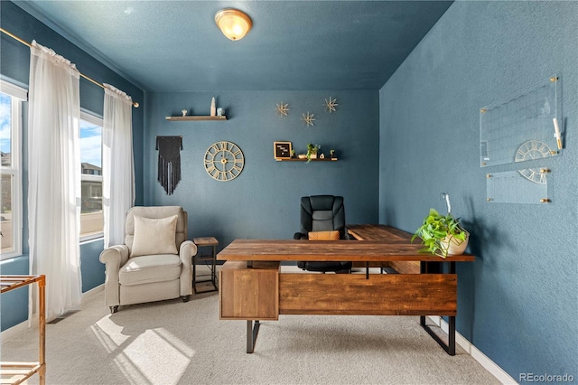 244 Chipeta Way, Lochbuie, CO 80603 - office area featuring carpet and baseboards