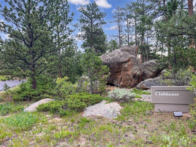 232 Fox Acres Dr W, Red Feather Lakes, CO 80545 - photo 27