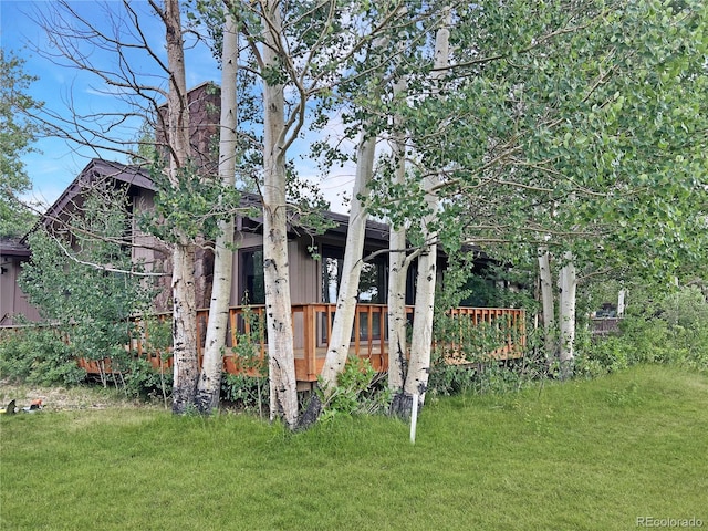 232 Fox Acres Dr W, Red Feather Lakes, CO 80545 - photo 2
