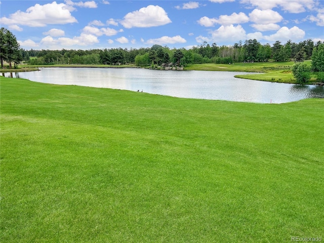 232 Fox Acres Dr W, Red Feather Lakes, CO 80545 - photo 21
