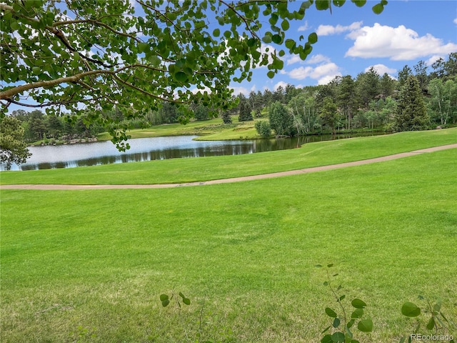 232 Fox Acres Dr W, Red Feather Lakes, CO 80545 - photo 24